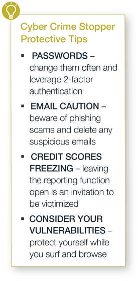 Cyber Crime Stopper Protective Tips